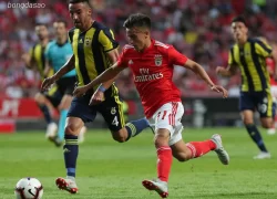 Nhận định kèo xiên 21/08 Fenerbahce vs Benfica, UCL