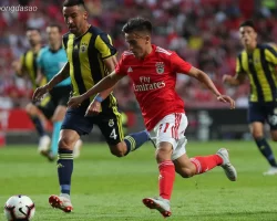 Nhận định kèo xiên 21/08 Fenerbahce vs Benfica, UCL