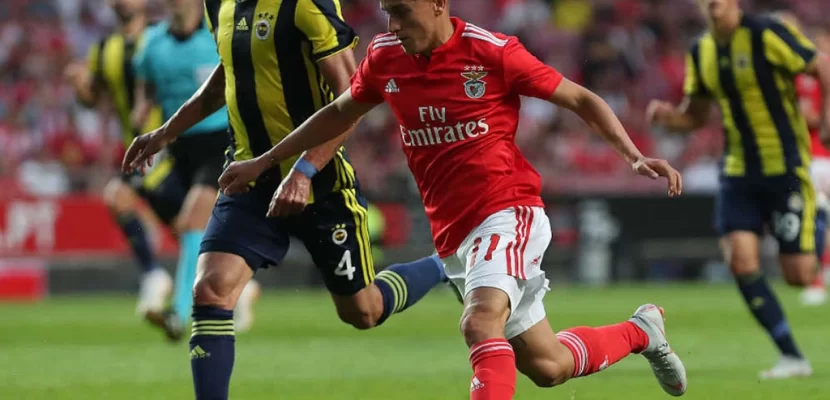 Nhận định kèo xiên 21/08 Fenerbahce vs Benfica, UCL