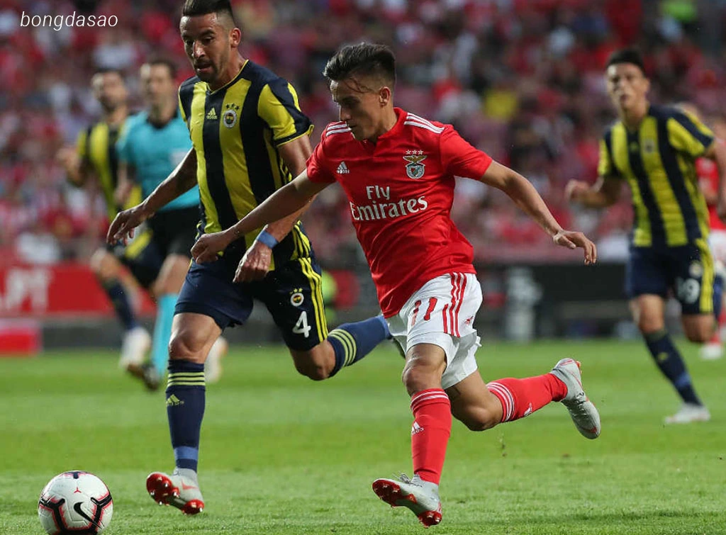Nhận định kèo xiên 21/08 Fenerbahce vs Benfica, UCL