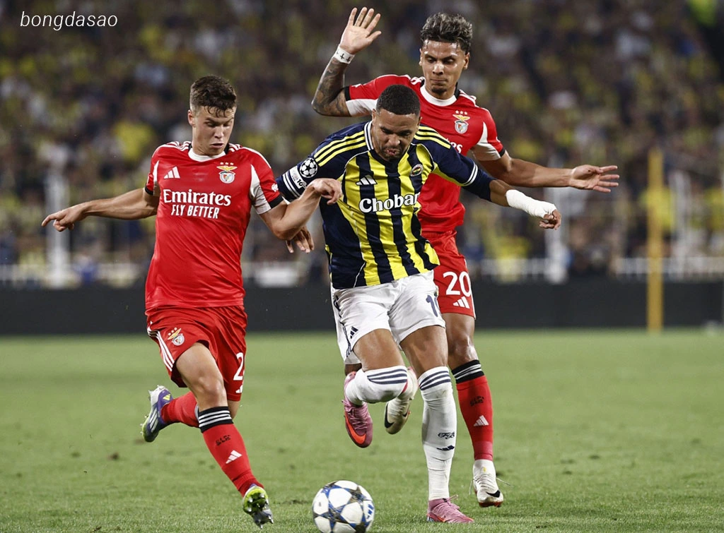 Soi kèo xiên ngày 28/08 Benfica vs Fenerbahce, UCL