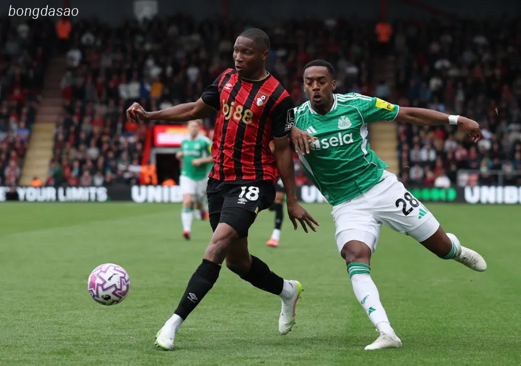 Kết quả bóng đá ngày 21/09: Bournemouth vs Newcastle