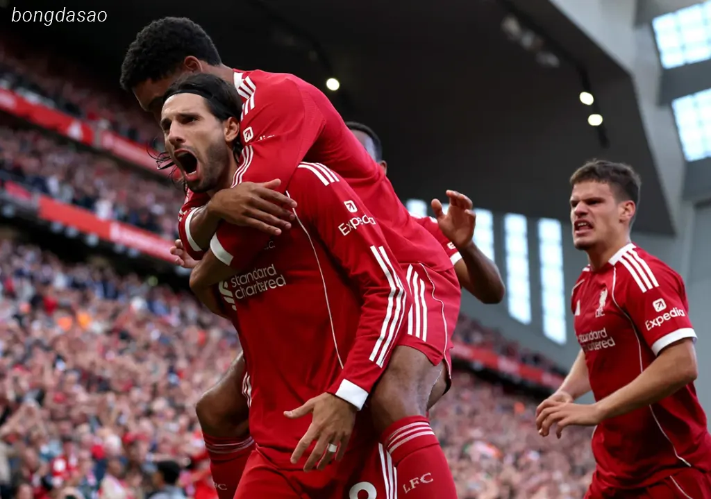 Kết quả bóng đá ngày 29/08: Liverpool vs Arsenal