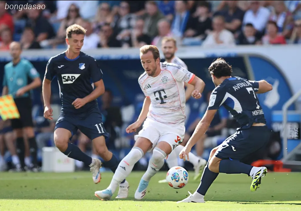 Kết quả vòng 4 Bundesliga: Hoffenheim vs FC Bayern Munich