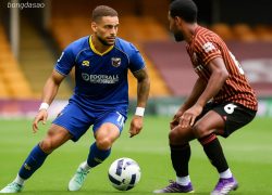 Nhận định kèo xiên 03/09 Wimbledon vs Stevenage, League Trophy