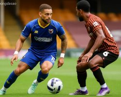 Nhận định kèo xiên 03/09 Wimbledon vs Stevenage, League Trophy