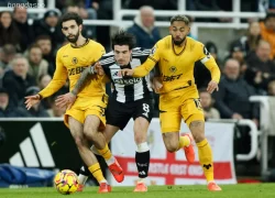 Nhận định kèo xiên 13/09 Newcastle vs Wolves, Premier League