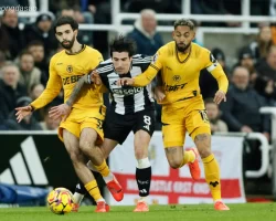 Nhận định kèo xiên 13/09 Newcastle vs Wolves, Premier League
