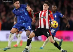 Soi kèo xiên ngày 14/09 Brentford vs Chelsea, Premier League