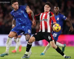 Soi kèo xiên ngày 14/09 Brentford vs Chelsea, Premier League