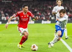 Soi kèo xiên ngày 17/09 Benfica vs Qarabag, Champions League