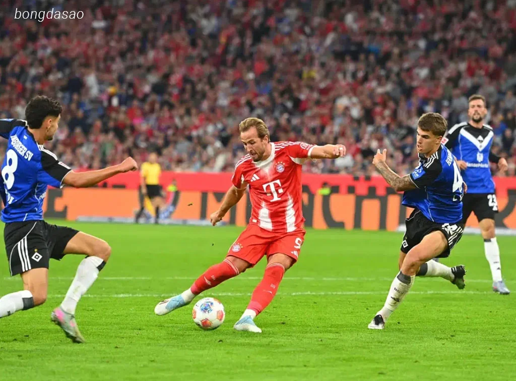 Soi kèo xiên ngày 18/09 FC Bayern Munich vs Chelsea, Champions League