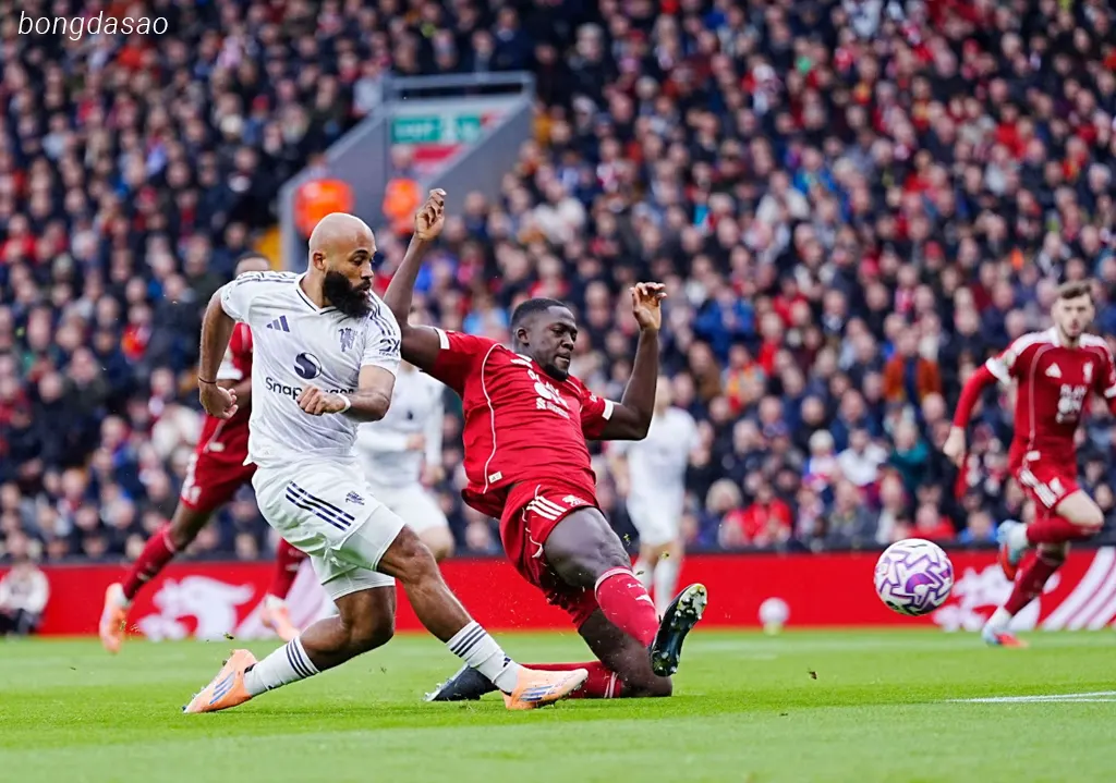 Kết quả bóng đá ngày 19/10: LFC Liverpool vs Man United