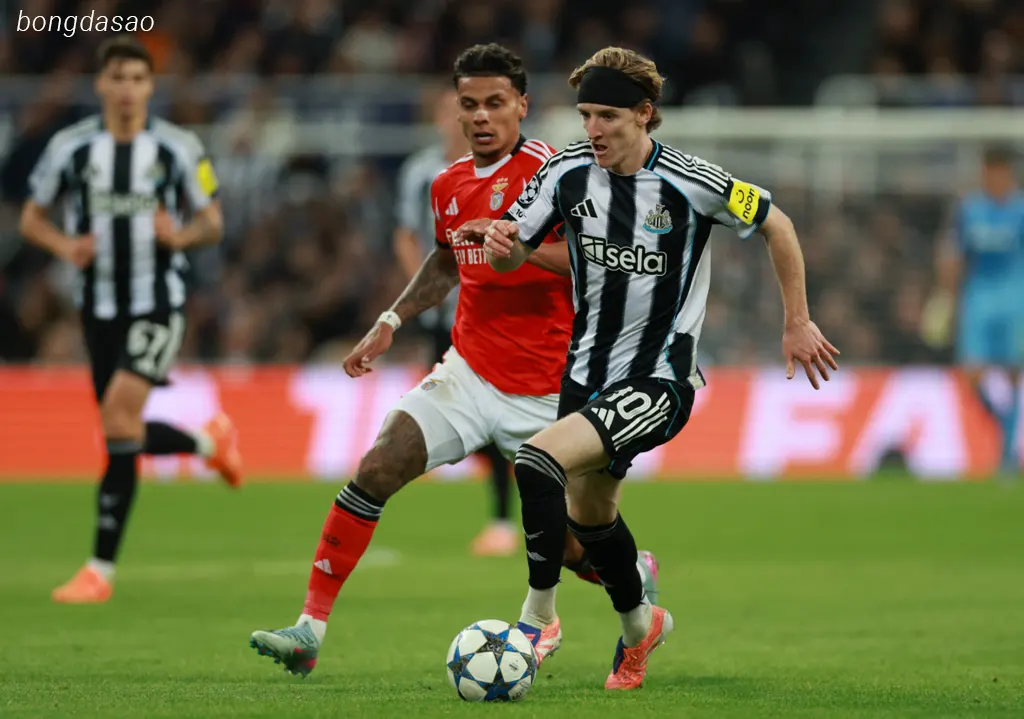 Kết quả bóng đá ngày 22/10: Newcastle vs Benfica