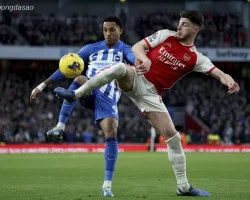 Soi kèo Arsenal vs Brighton, 02h45 ngày 30/10