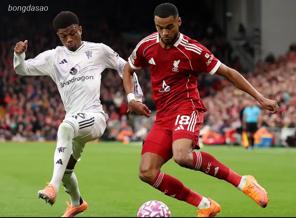 Soi kèo Frankfurt vs LFC Liverpool, 02h00 ngày 23/10