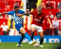 Soi kèo Man United vs Brighton, 23h30 ngày 25/10