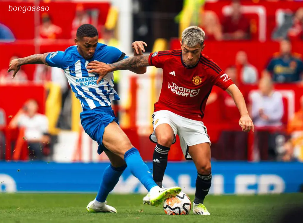 Soi kèo Man United vs Brighton, 23h30 ngày 25/10 Soi kèo Man United vs Brighton, 23h30 ngày 25/10