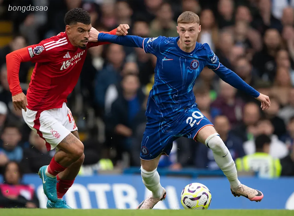 Soi kèo Nottingham Forest vs Chelsea, 18h30 ngày 18/10