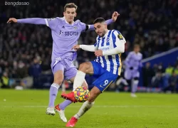Soi kèo xiên ngày 01/11 Brighton vs Leeds United, Premier League
