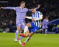 Soi kèo xiên ngày 01/11 Brighton vs Leeds United, Premier League
