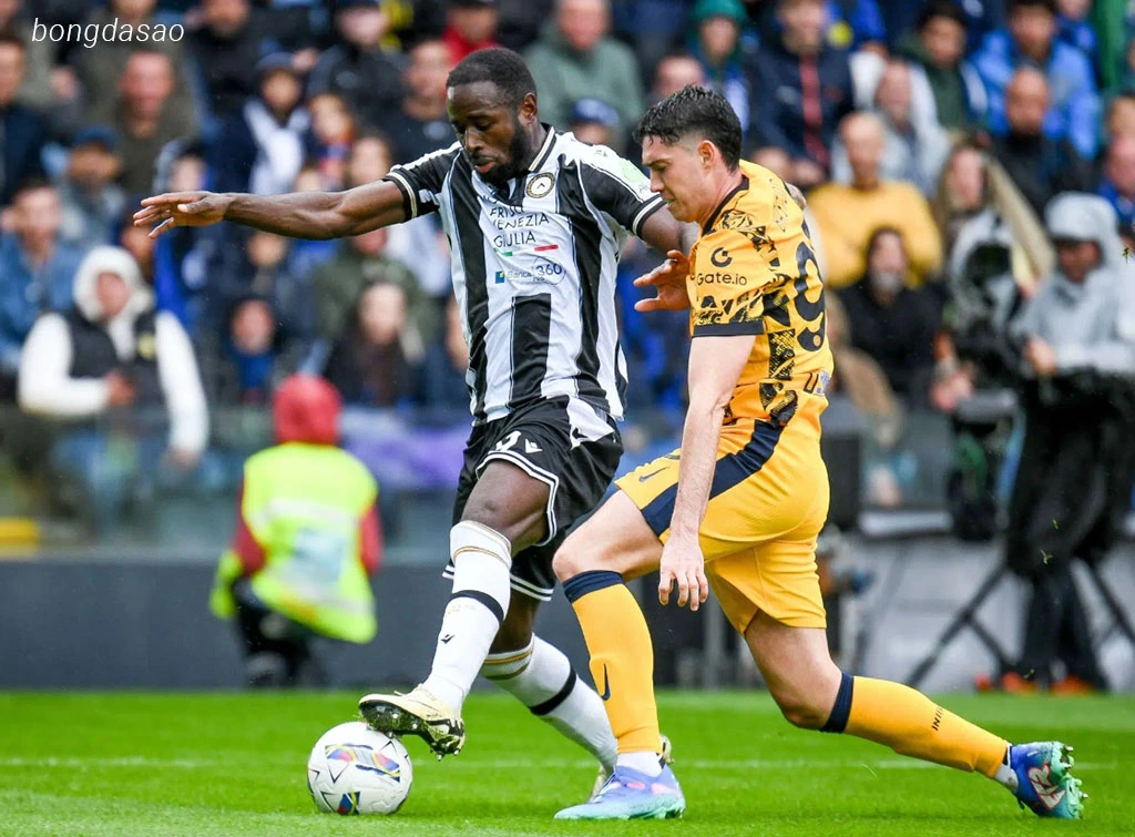 Nhận định kèo xiên ngày 01/11 Udinese vs Atalanta, Serie A Nhận định kèo xiên ngày 01/11 Udinese vs Atalanta, Serie A