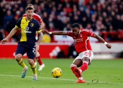 Nhận định kèo xiên ngày 03/10 Nottingham Forest vs Midtjylland, Europa League