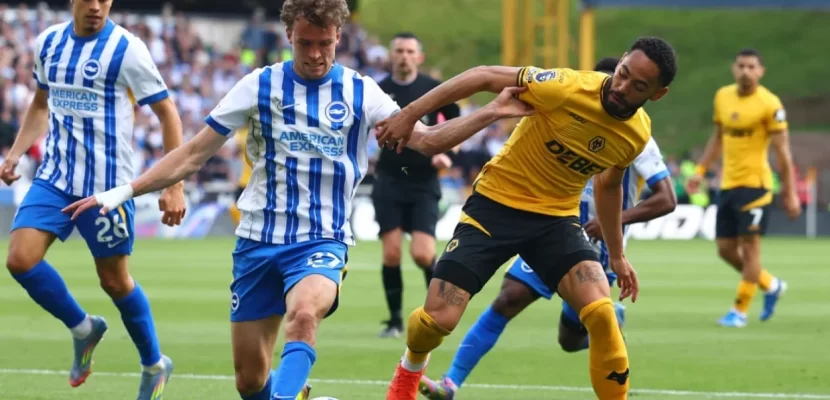 Nhận định kèo xiên ngày 05/10 Wolves vs Brighton, Premier League
