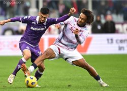 Soi kèo xiên ngày 27/10 Fiorentina vs Bologna, Serie A