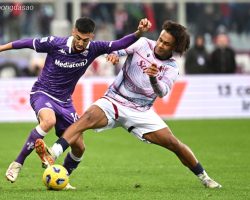 Soi kèo xiên ngày 27/10 Fiorentina vs Bologna, Serie A