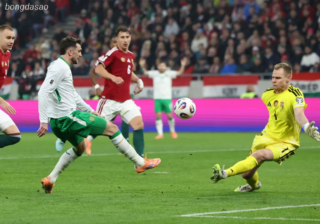 Kết quả bóng đá ngày 16/11: Hungary vs Ireland