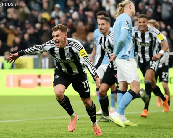 Kết quả bóng đá ngày 23/11: Newcastle quật ngã Man City