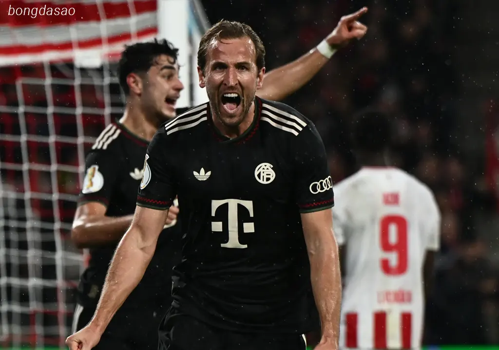 Kết quả bóng đá ngày 30/10: Hùm Xám lại thắng dễ