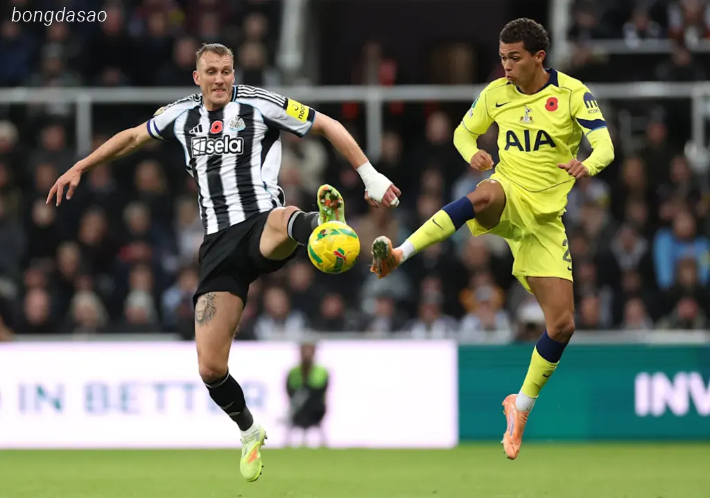 Kết quả vòng 4 Carabao Cup: Newcastle vs Tottenham