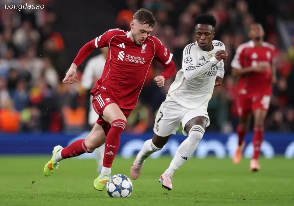 Kết quả Champions League ngày 05/11: LFC Liverpool vs Real Madrid