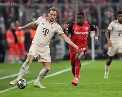Soi kèo xiên ngày 02/11 FC Bayern Munich vs Leverkusen, Bundesliga