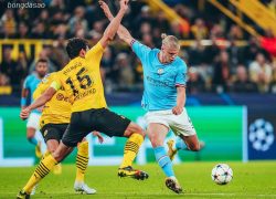 Soi kèo xiên ngày 06/11 Man City vs Dortmund, Champions League
