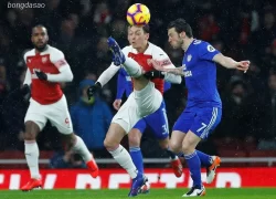 Soi kèo xiên ngày 12/11 Cardiff City vs U21 Arsenal, League Trophy