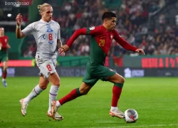 Nhận định kèo xiên ngày 14/11 Ireland vs Bồ Đào Nha, vòng loại World Cup