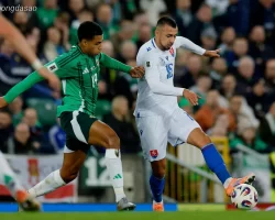Nhận định kèo xiên ngày 15/11 Slovakia vs Bắc Ireland, vòng loại World Cup