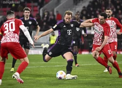 Nhận định kèo xiên ngày 22/11 FC Bayern Munich vs Freiburg, Bundesliga