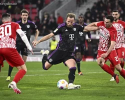 Nhận định kèo xiên ngày 22/11 FC Bayern Munich vs Freiburg, Bundesliga
